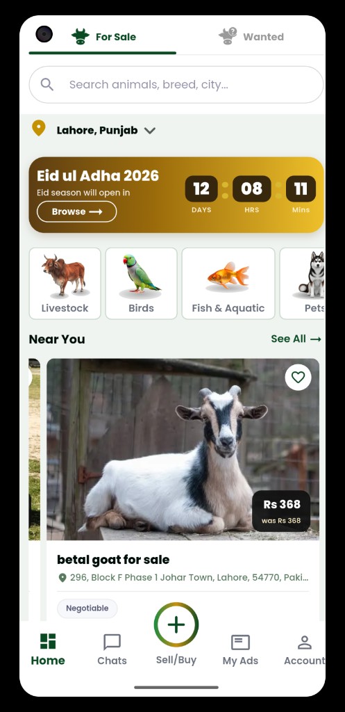 Qasvah mobile app showing animal listings, categories, and a betal goat for sale near Lahore.
